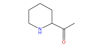 2-Acetylpiperidine