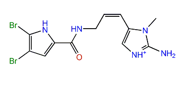 2-Bromokeramadine