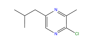 2-Chloro-5-isobutyl-3-methylpyrazine