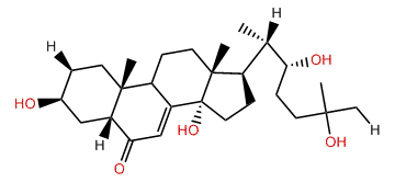 2-Deoxyecdysone