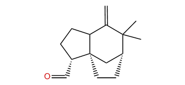 2-epi-Ziza-6(13)-en-12-al