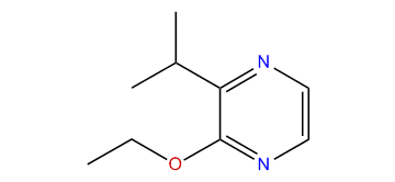 2-Ethoxy-3-isopropylpyrazine