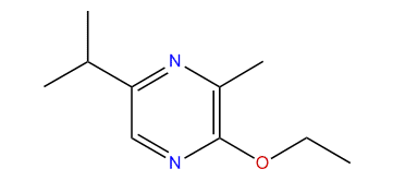 2-Ethoxy-5-isopropyl-3-methylpyrazine