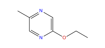 2-Ethoxy-5-methylpyrazine