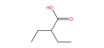 2-Ethylbutyric acid