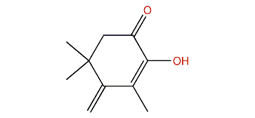 2-Hydroxy-3,5,5-trimethyl-4-methylene-2-cyclohexen-1-one