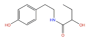 N-[2-(4-Hydroxyphenyl)ethyl]-2-hydroxybutanamide