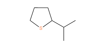 2-Isopropyl-thiacyclopentane