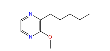 2-Methoxy-3-(3-methylpentyl)-pyrazine