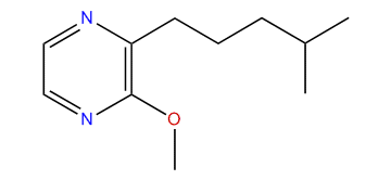 2-Methoxy-3-(4-methylpentyl)-pyrazine