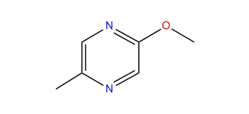 2-Methoxy-5-methylpyrazine