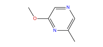 2-Methoxy-6-methylpyrazine