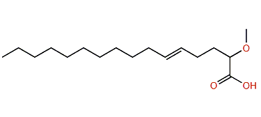 2-Methoxy-5-hexadecenoic acid