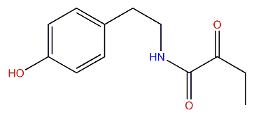 N-[2-(4-Hydroxyphenyl)ethyl]-2-oxobutanamide