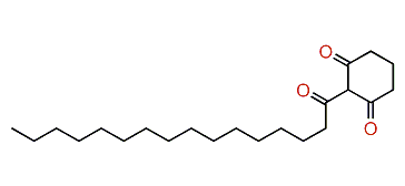 2-Palmitoyl-cyclohexane-1,3-dione