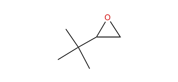 2-tert-Butyloxirane