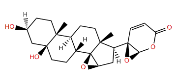 20S,21R-Epoxymarinobufagin