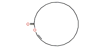 22-Docosenolide