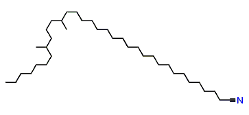 22,26-Dimethyltritriacontyl cyanide