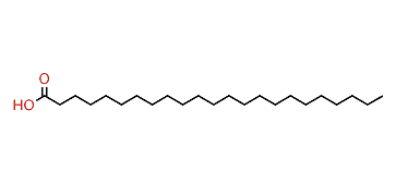 Tricosanoic acid