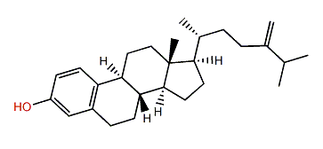 24-Methylene-19-norcholesta-1,3,5(10),22-tetraen-3-ol