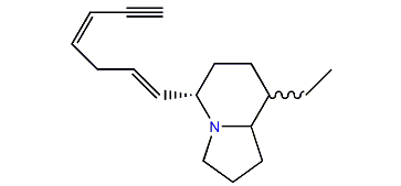 5,8-Indolizidine 243D