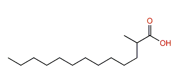 2-Methyltridecanoic acid