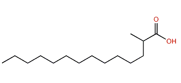 2-Methyltetradecanoic acid