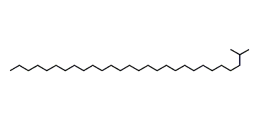 2-Methyloctacosane