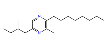 2-Methyl-6-(2-methylbutyl)-3-octylpyrazine