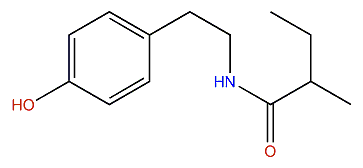 N-[2-(4-Hydroxyphenyl)ethyl]-2-methylbutanamide