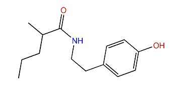 N-[2-(4-Hydroxyphenyl)ethyl]-2-methylpentanamide