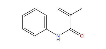 2-Methyl-N-phenylacrylamide