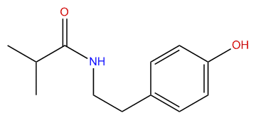 N-[2-(4-Hydroxyphenyl)ethyl]-2-methylpropanamide