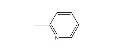 2-Methylpyridine