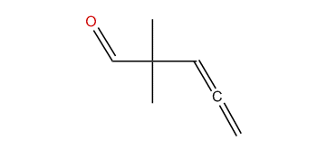 2,2-Dimethyl-3,4-pentadienal