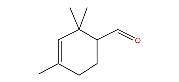 2,2,4-Trimethyl-3-cyclohexene-1-carbaldehyde