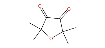 2,2,5,5-Tetramethylfuran-3,4(2H,5H)-dione