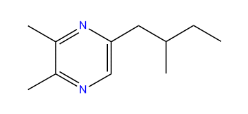 2,3-Dimethyl-5-(2-methylbutyl)-pyrazine