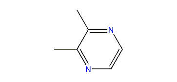 2,3-Dimethylpyrazine