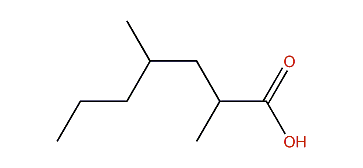 2,4-Dimethylheptanoic acid