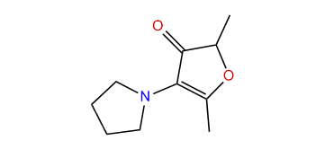 2,5-Dimethyl-4-(1-pyrrolidinyl)-furan-3(2H)-one