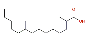 2,9-Dimethyltetradecanoic acid