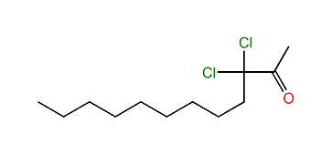 3,3-Dichlorododecan-2-one