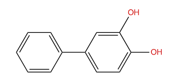 3,4-Biphenyldiol