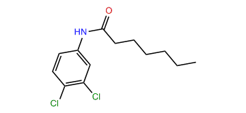 3,4-Dichloroenanthoanilide