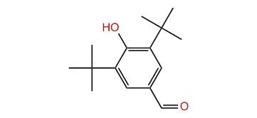 3,5-di-tert-Butyl-4-hydroxybenzaldehyde