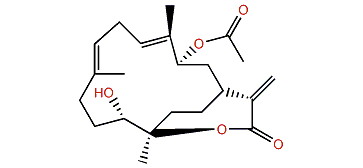 3-O-Acetylsandensolide