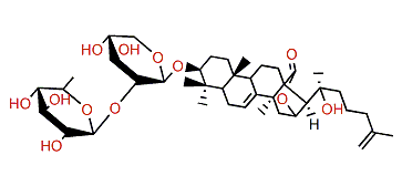 3-O-[-D-quinovopyranosyl-(1-2)-O-D-xylopyranosyl]-(20S)-hydroxylanosta-7,25-diene-18(16)-lactone