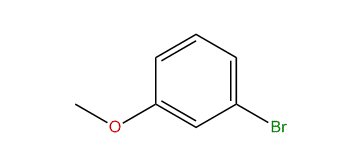 1-Bromo-3-methoxybenzene